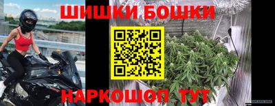шишки Абинск