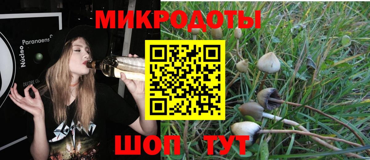 Псилоцибиновые грибы Cubensis  Вход с VPN  Галлюциногенные грибы MAGIC MUSHROOMS  Амурск 